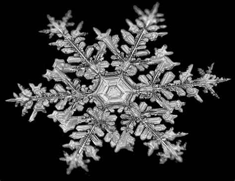 Real Snowflake Photography