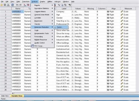 Factor analysis using SPSS