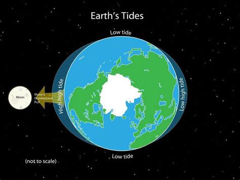 The Earth's rotation and the gravitational pull of the sun and moon ...