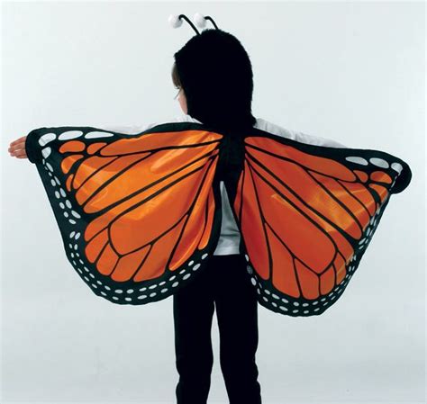 Butterfly Wings Costume