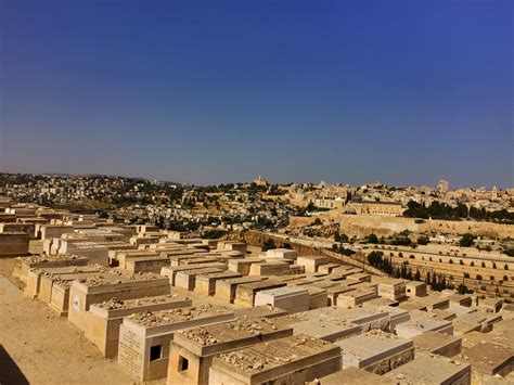 Jewish cemetery, Mount of Olives, Jerusalem, Israel | Jerusalem, Mount ...