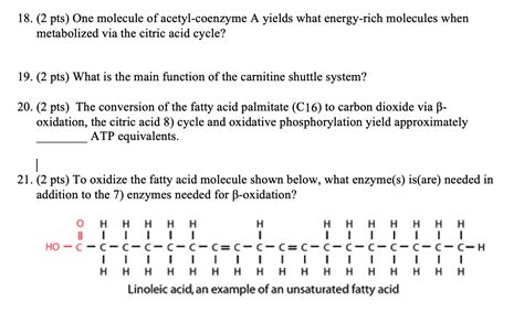 Solved 18. (2 pts) One molecule of acetyl-coenzyme A yields | Chegg.com