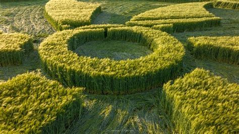 New data shows Wiltshire has most crop circles in England - BBC News