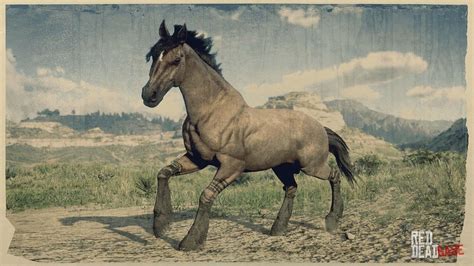 Mustang | RDR2 Horse Breeds Coats, Locations & Stats