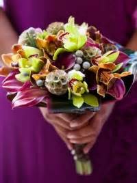 Scabiosa Pods - Bouquet Bouquet