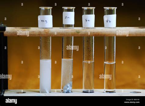 Magnesium And Lead Reaction