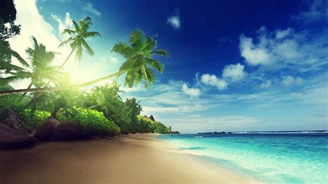 🔥 [49+] Live Beach Wallpapers | WallpaperSafari