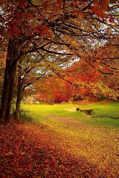 20 Free Amazing Autumn and Fall Wallpaper and Backgrounds. If you're ...