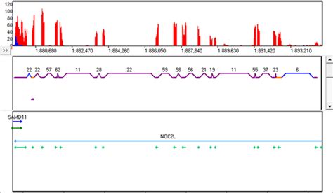 Specialized RNA-Seq Analysis Tools