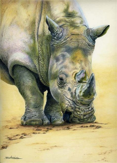 Rhino Pencil Drawing at GetDrawings | Free download