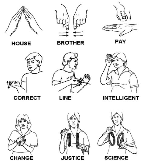 Examples of Signs Used in the LSCh (Chilean Sign Language) Test ...