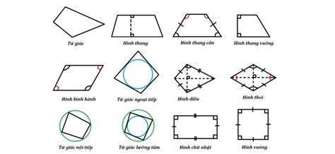 Hình tứ giác: Định nghĩa, tính chất, phân loại, bài tập và bí quyết học hay