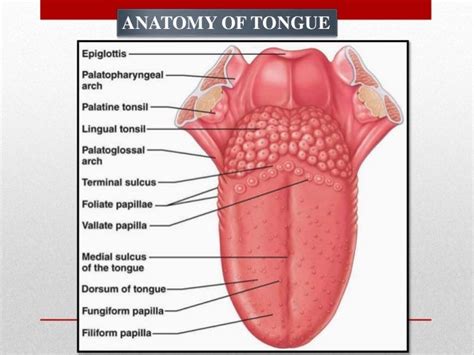 Tongue disorders