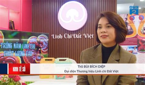 Linh chi Đất Việt – Linh chi của người Việt Linh chi Đất Việt