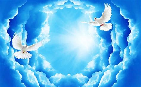 White Doves, sky, clouds, artwork, blue, HD wallpaper | Peakpx