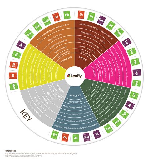 What is a Terpene Chart & How do I Read it? | Terpene Chart With Visuals