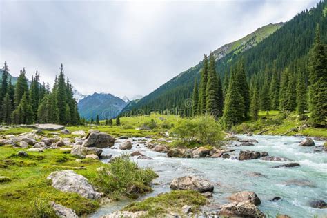 Mountain Landscape with a Turbulent River, Kyrgyzstan. Stock Image ...