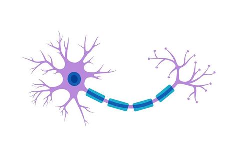 Brain neuron symbol. Human neuron en 2024