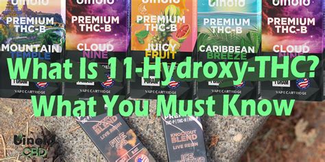 What Is 11-Hydroxy-THC? What You Must Know