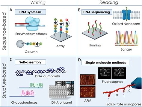 Emerging Approaches to DNA Data Storage: Challenges and Prospects | ACS ...