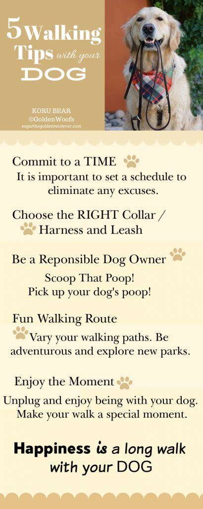 Walking Tips with your Dog Infographic - Golden Woofs