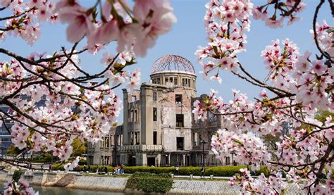 Where To Stay During Cherry Blossom Season In Japan - HotelsCombined ...