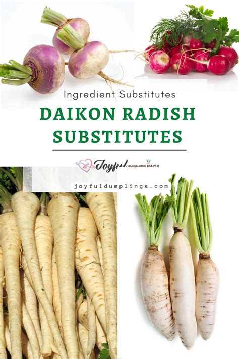 Daikon Radish Substitute Ideas » Joyful Dumplings