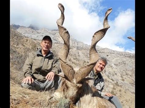 MARKHOR hunting is the best for conservation ! by Seladang - YouTube