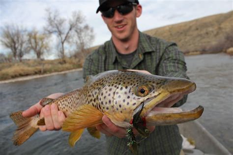 Wyoming Fly Fishing Trips - Wyoming Anglers