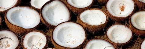 Coconut Meat