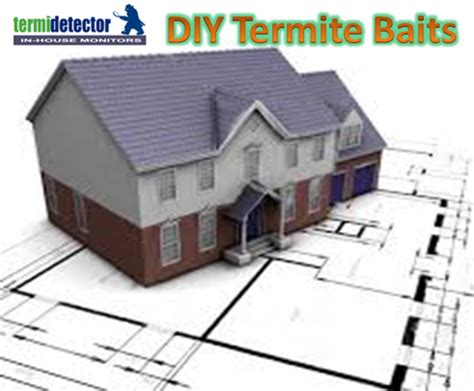 Termite inspection made easy with a termidetector | diy termite protection