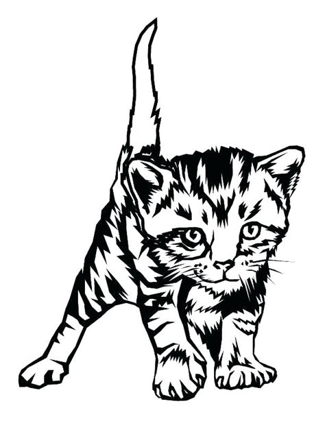 Tabby Cat Coloring Pages at GetColorings.com | Free printable colorings ...