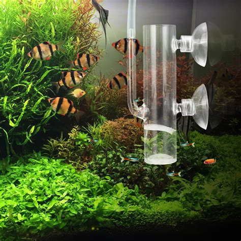 Effective Fish Breeding