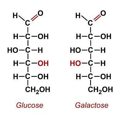 Galactose Formula: Properties, Structure, and Uses