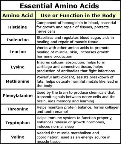 Table showing the essential amino acids. | Science classroom, Amino ...