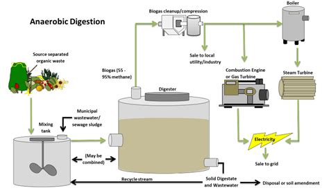 Anaerobic Digester Diagram