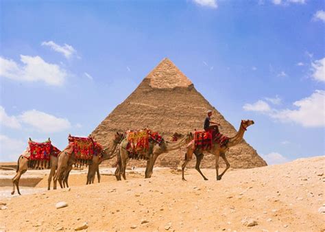 Private Half Day Tour to Pyramids of Giza