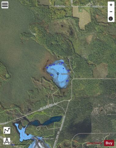 Loon Lake Fishing Map | Nautical Charts App