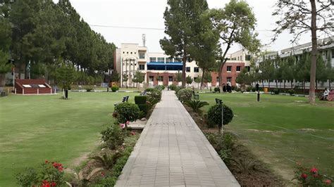 University of Malakand (UoM)