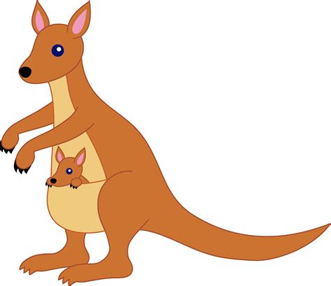 Kangaroo Images Clip Art || stock photos dictionary