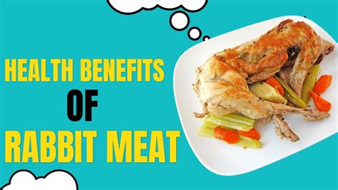 Rabbit Meat: 5 Great Health Benefits of Rabbit Meat - YouTube