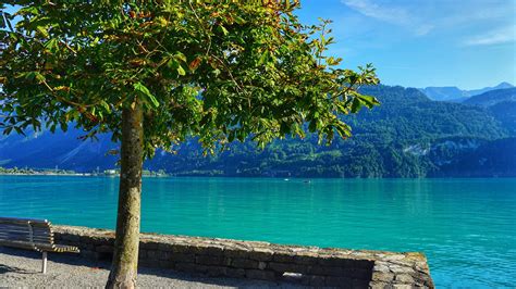 Top 3 Places to Visit on Lake Brienz, Switzerland