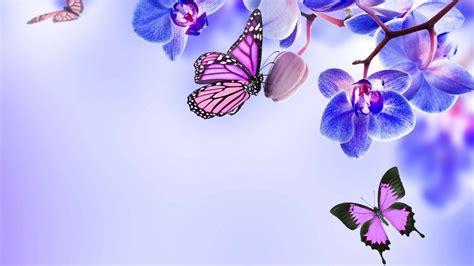 Aesthetic Butterfly Desktop Wallpapers - Wallpaper Cave