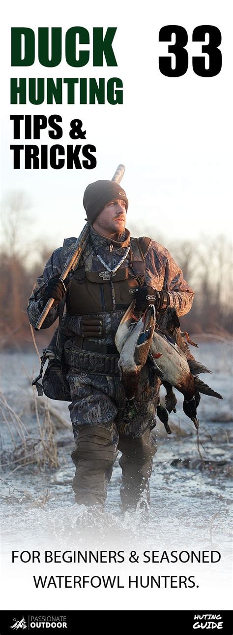 33 Duck Hunting Tips & Tricks For Beginners & Veteran Waterfowl Hunters ...