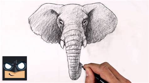 How To Draw an ELEPHANT | Sketch Saturday - YouTube