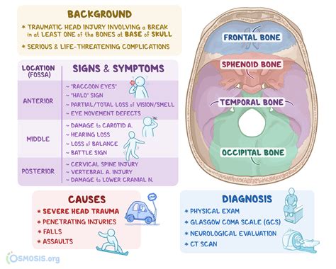 Signs Of Basilar Skull Fracture