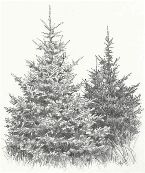 Landscape Drawing Basics with Claudia Nice: How to Draw Evergreen Trees ...