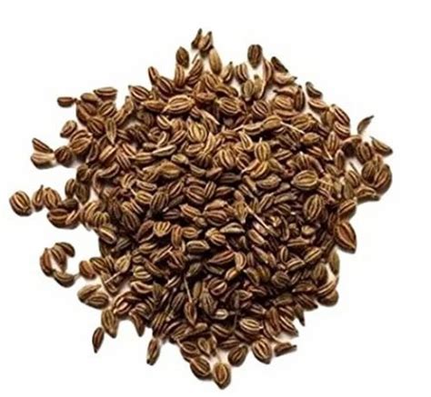 Ajwain Seeds at Rs 260/kg | Carom Seeds in New Delhi | ID: 26671047933