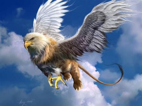 Griffin in Sunset, gryphon, griffon, sun, griffin, flying, sunset, HD ...