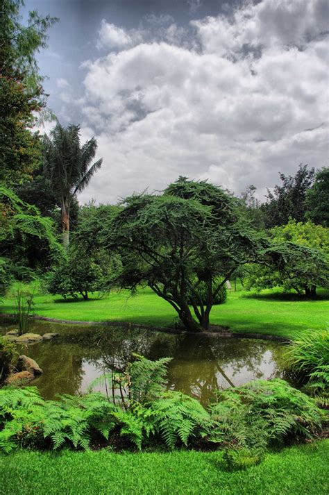 Jardin Botanico Bogota-203_fhdr baja | Sergio Jacome | Flickr